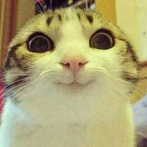 Meet your Posher, Serenity